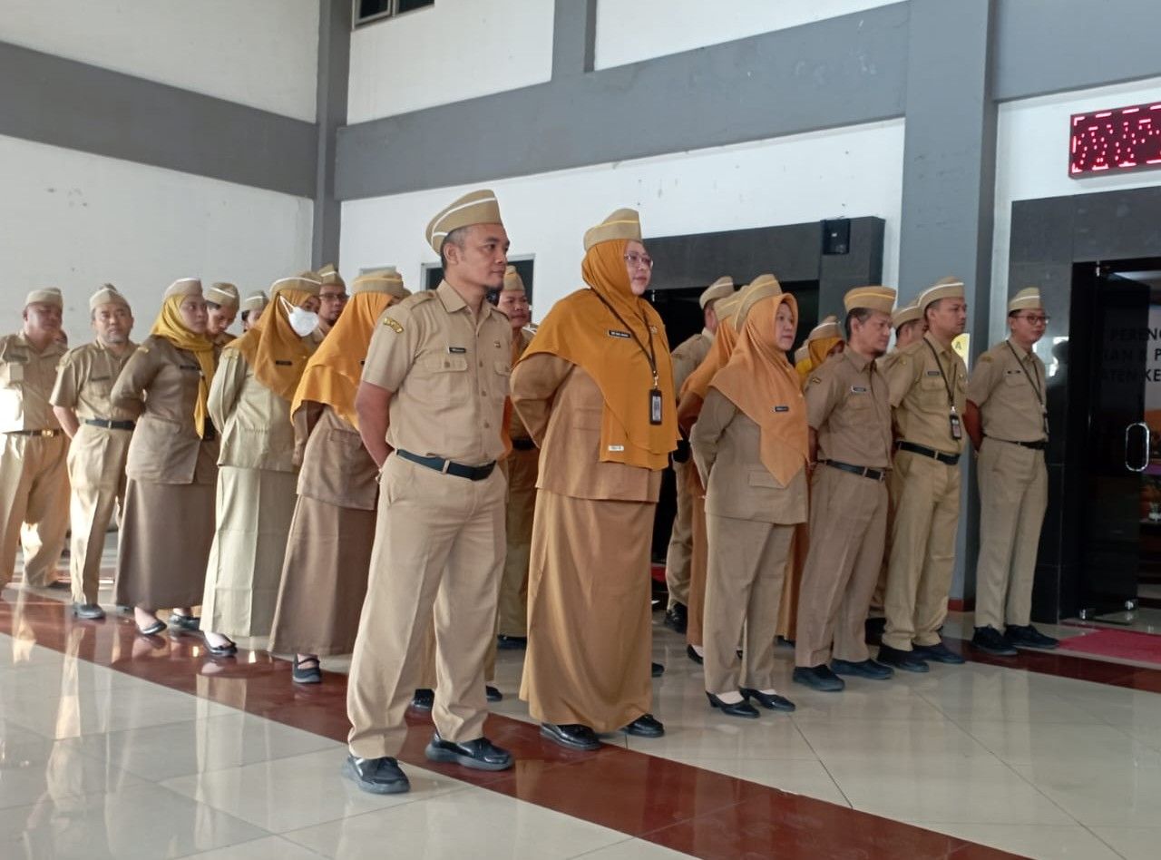 Tugas dan Fungsi
