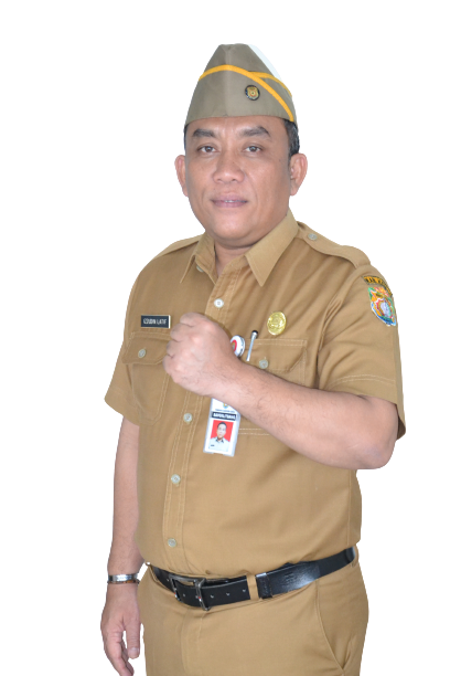 Sambutan